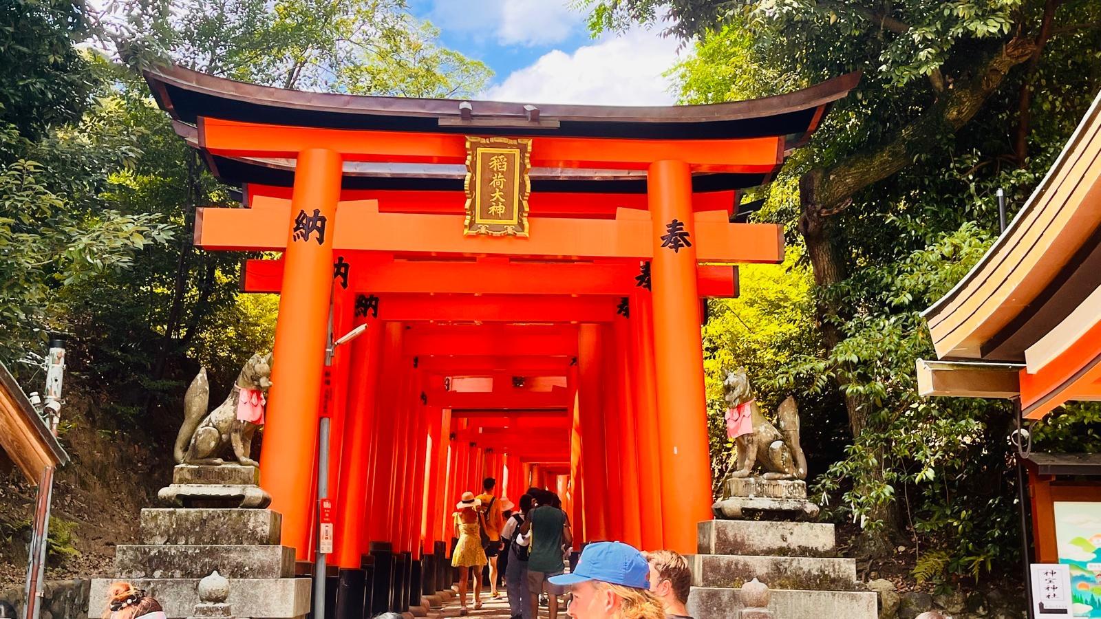 京都奈良カスタマイズツアーの風景 10