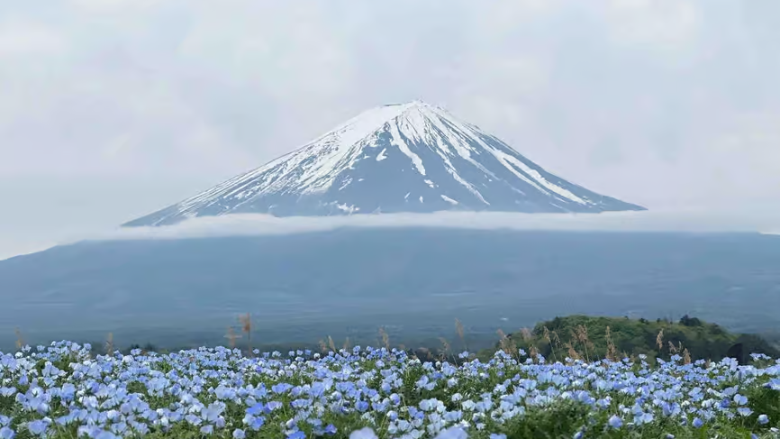 富士山と山中湖ツアーの風景 08